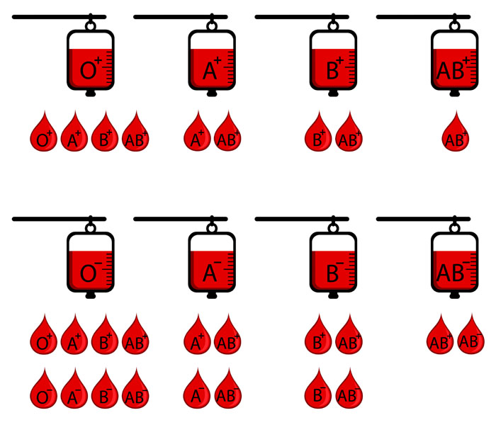 Zgodność grupy krwi